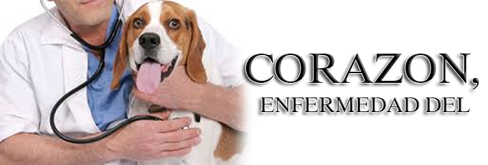 corazon